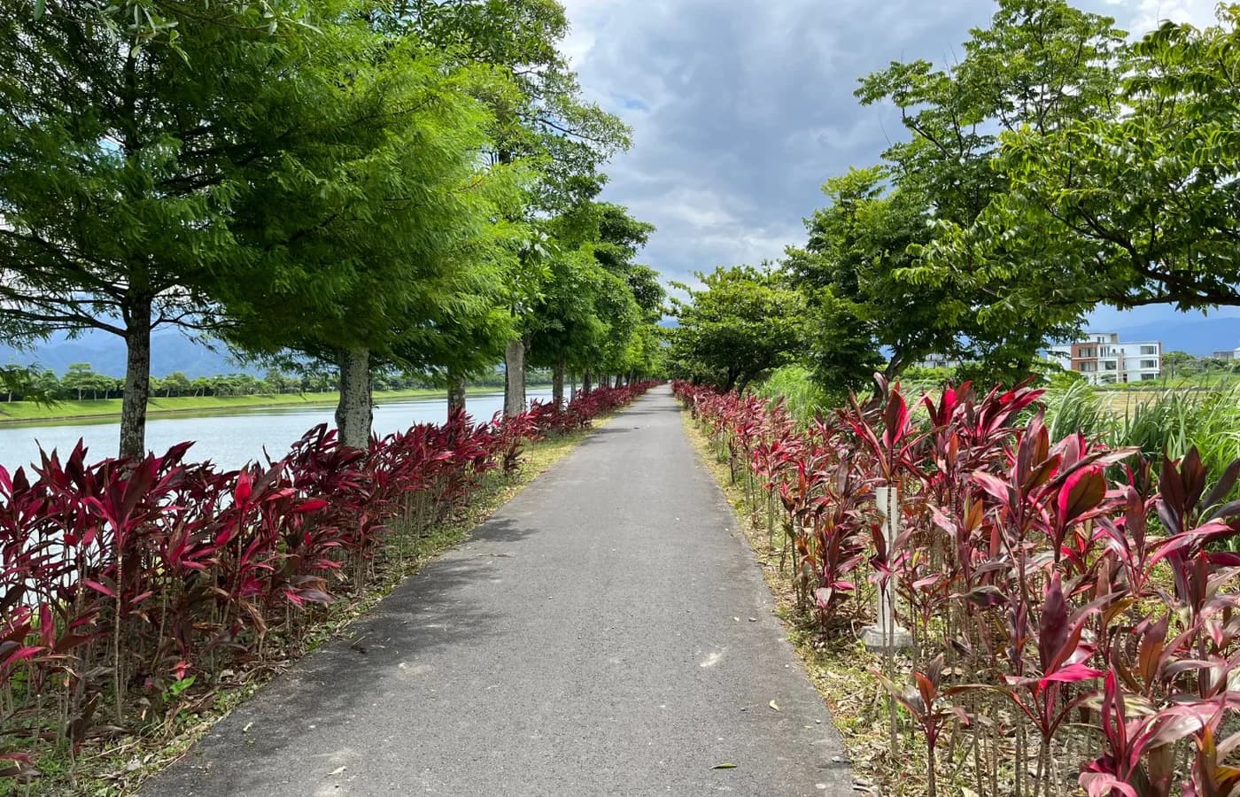 Ruta ciclista del río Dongshan|24 km, alquiler de bicicletas, duración y opciones familiares — Dongshan River Bike Trail
