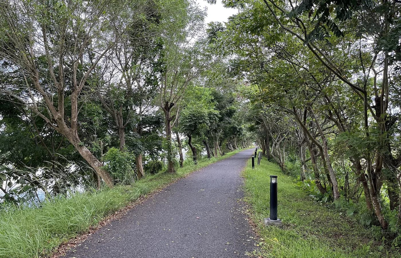 冬山河自行車道的樹蔭鋪面路段