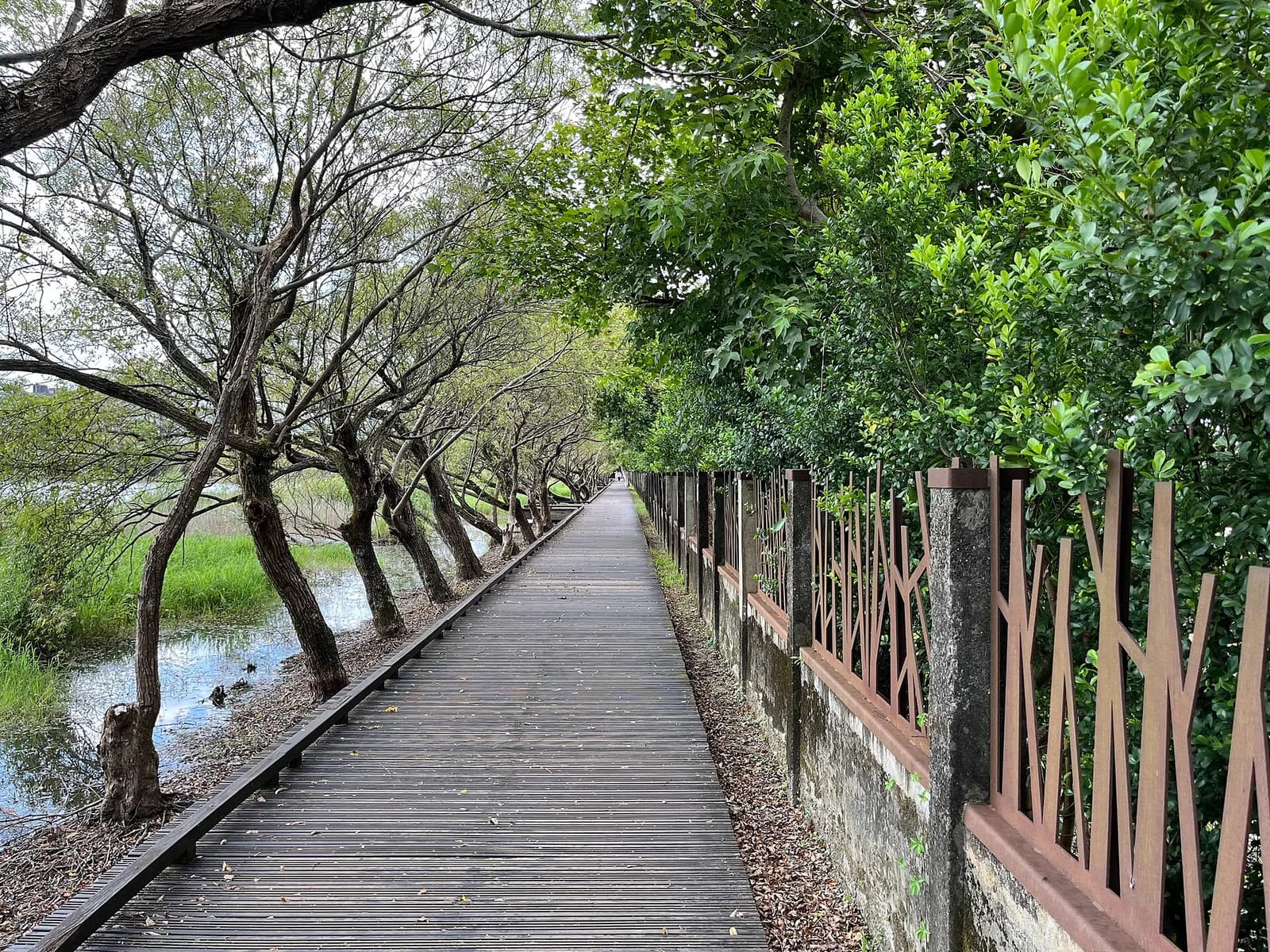 Foto reale di 羅東林業文化園區:Anello del bacino e Corridoio del tempo