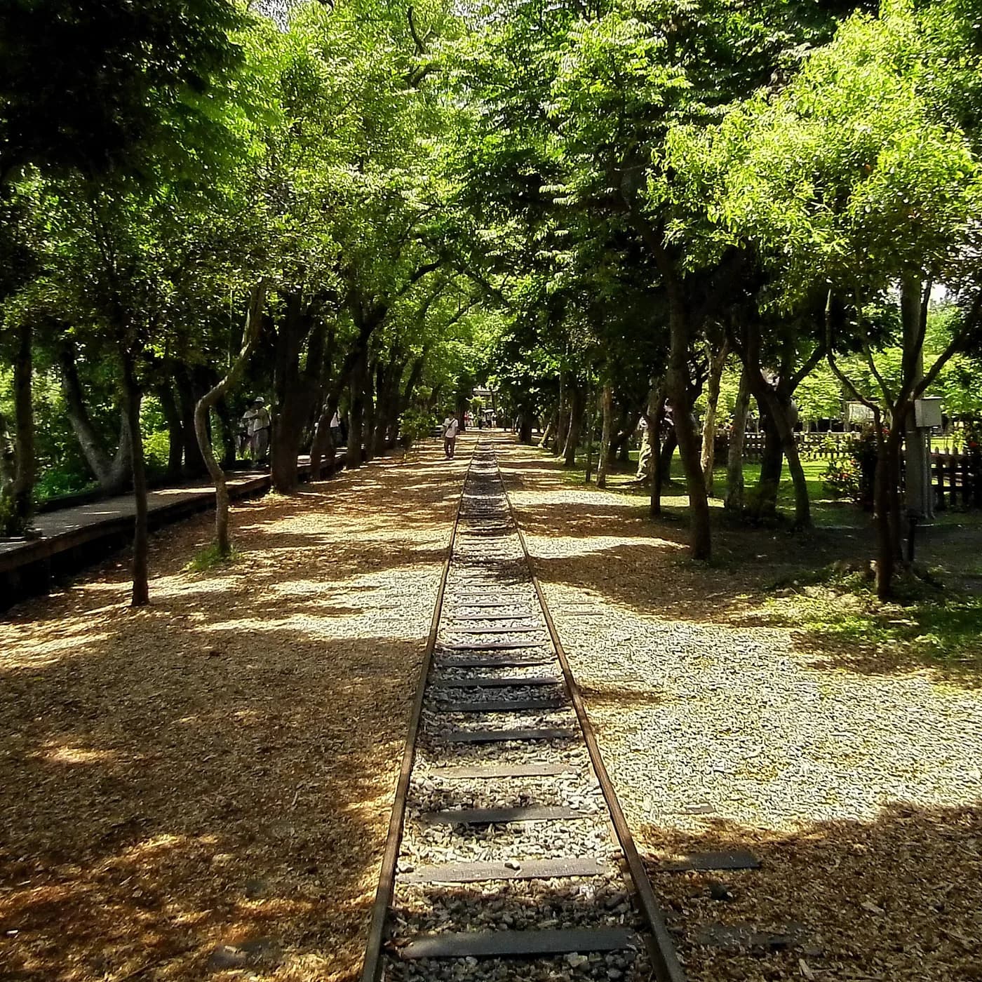 Foto reale di 羅東林業文化園區:Locomotiva a vapore e vecchio binario