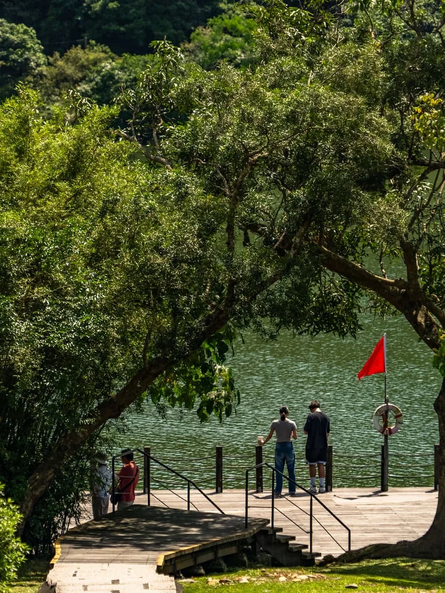 Descanso sombreado junto al lago