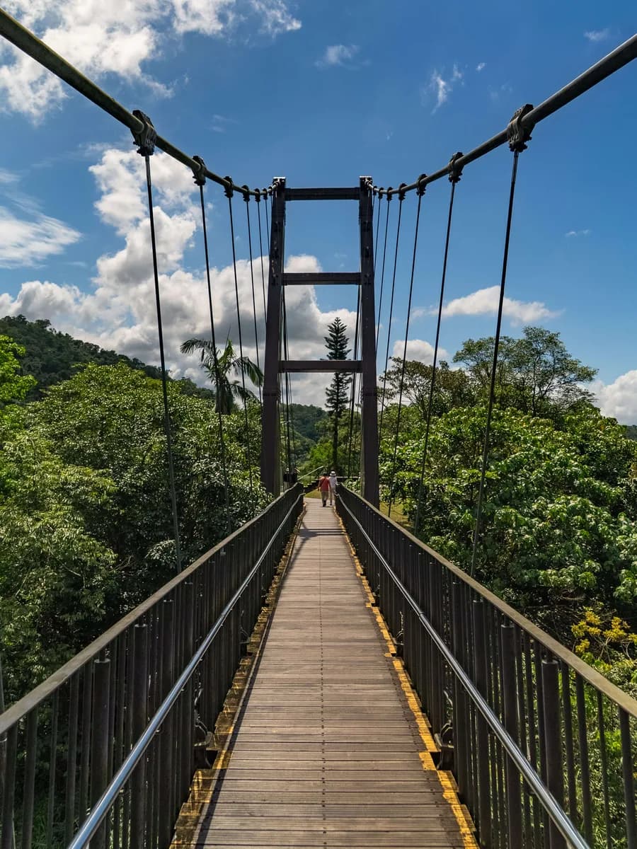 Puente colgante a Phoenix Island
