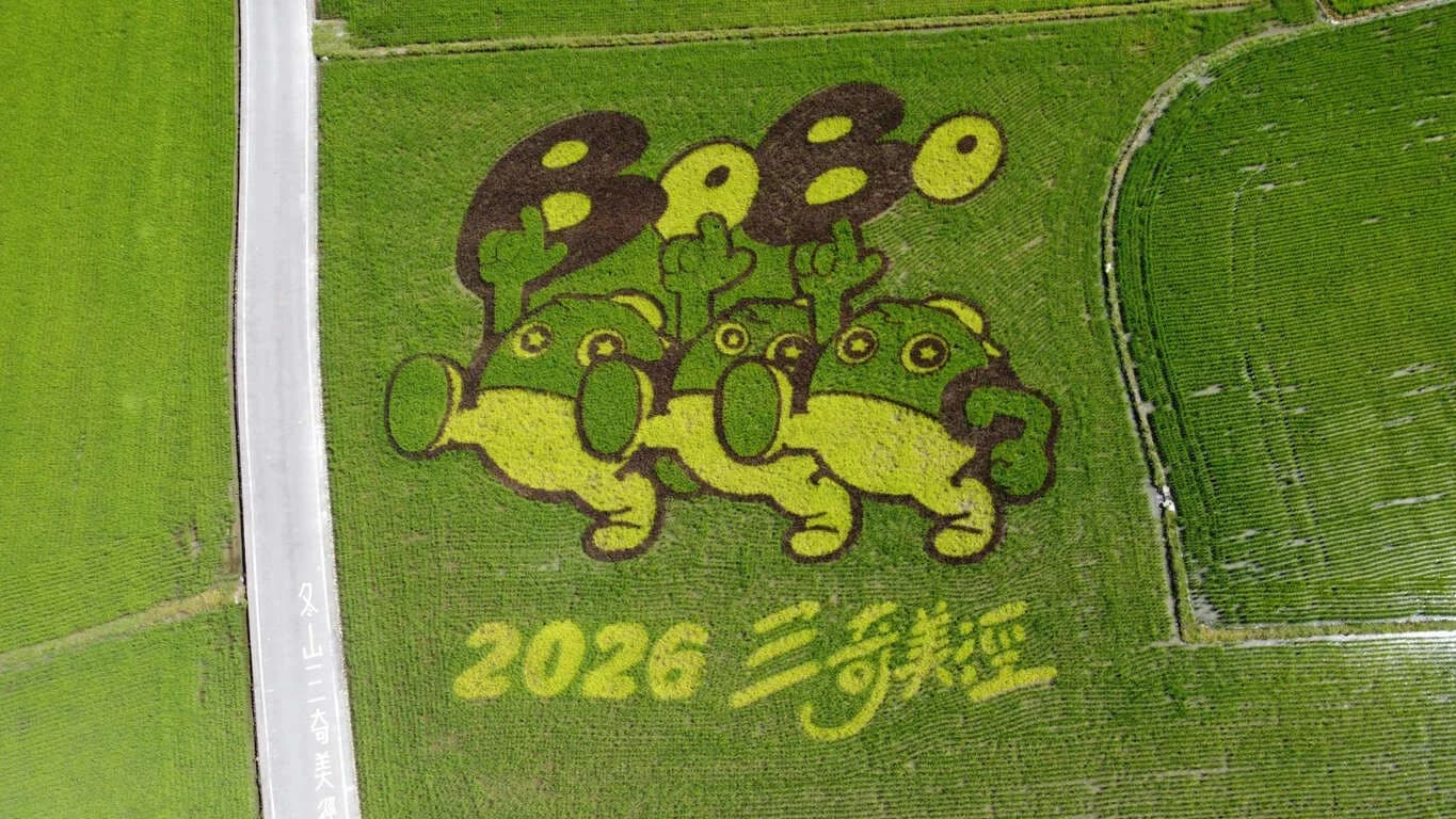 Foto oficial del lugar en Yilan: Arte en arrozal