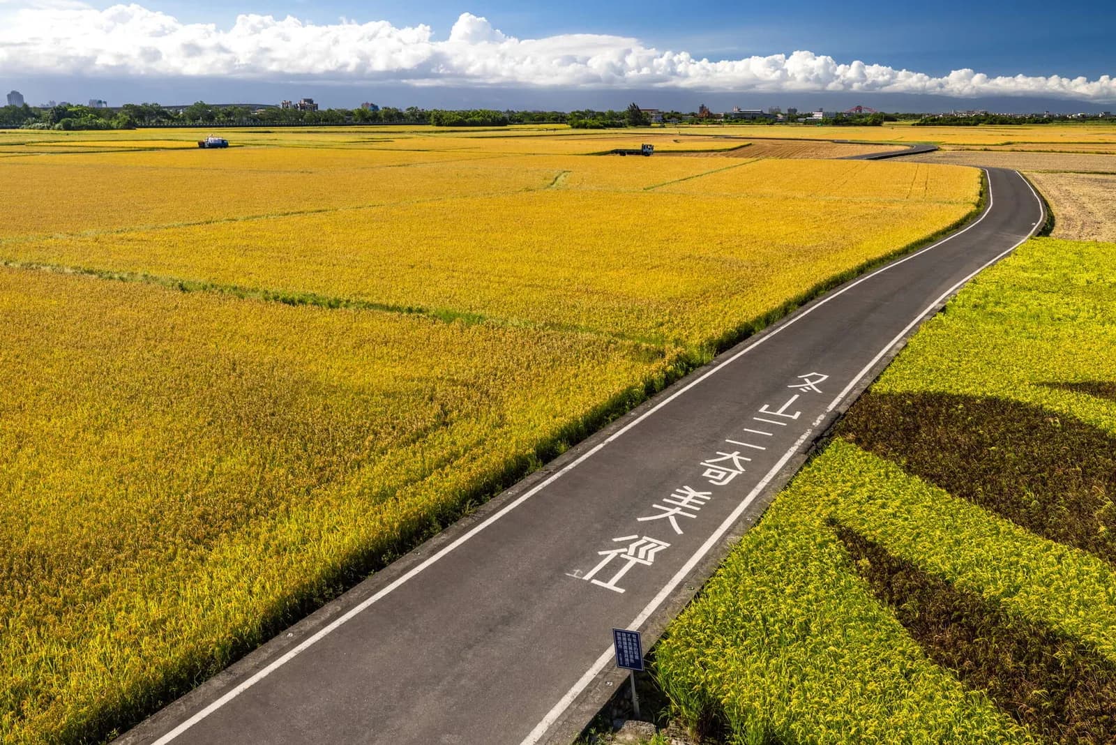 Foto oficial del lugar en Yilan: Carretera en S de nueve curvas