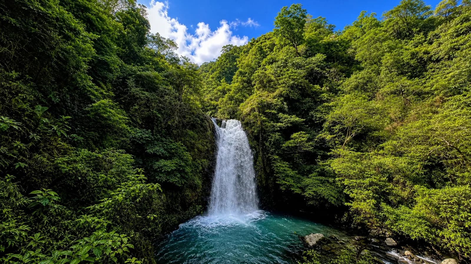 Opisyal na larawan sa lugar ng 新寮瀑布步道 mula Yilan Branch:Viewing platform ng unang talon