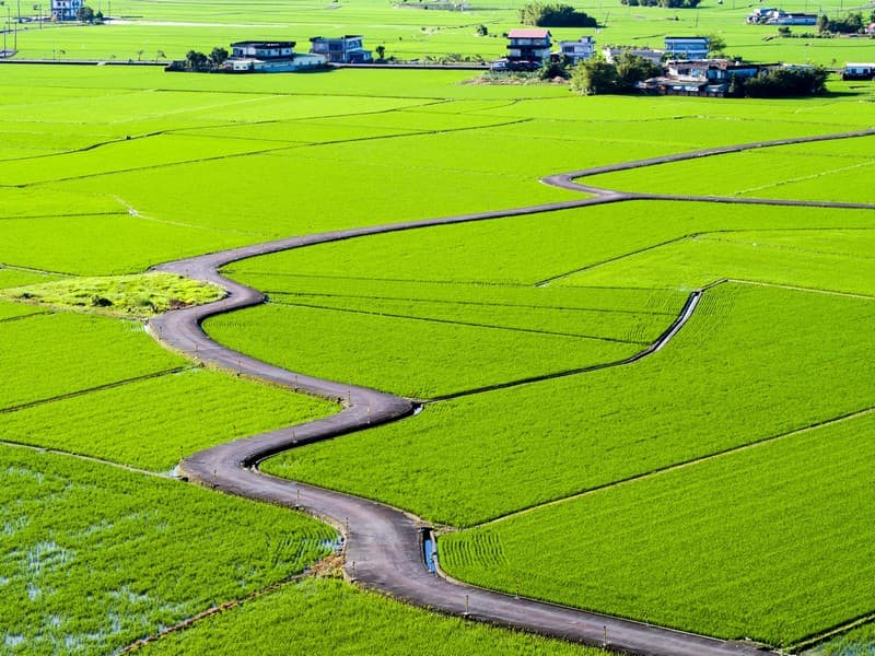 ถนนทุ่งนา Sanqi Beauty Trail